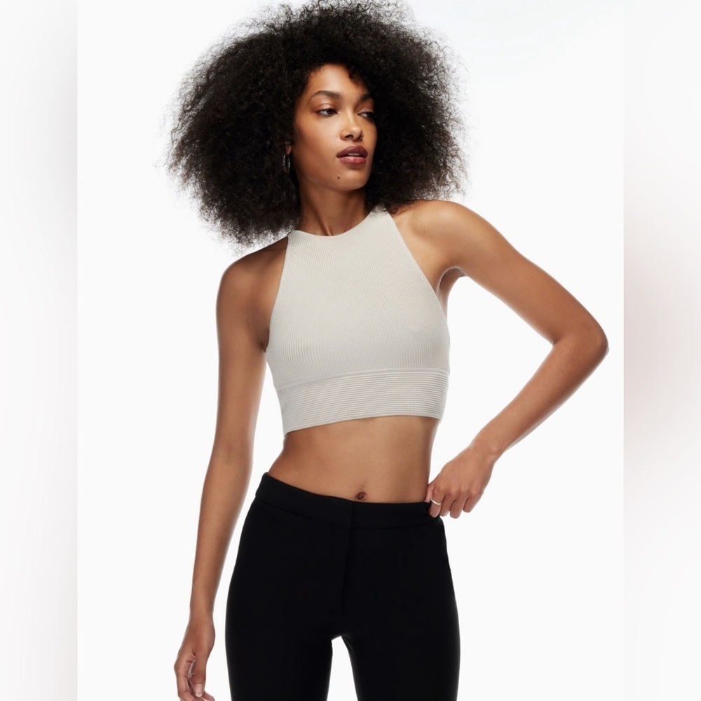 Aritzia Babaton Stefano Tank